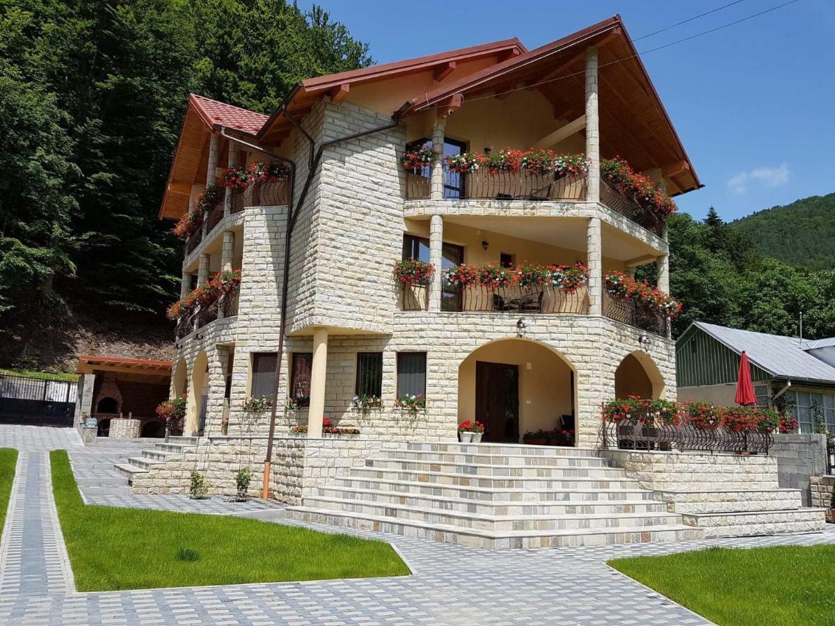 Casa Andra Hotel Slanic Moldova Exterior photo